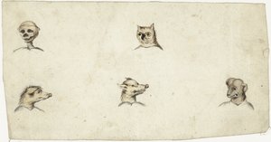 Têtes de quatre animaux et un squelette