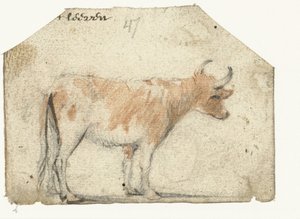 Vache, de côté