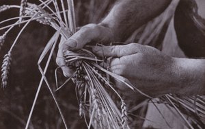 Fabrication de bandes de paille - Harold Burdekin