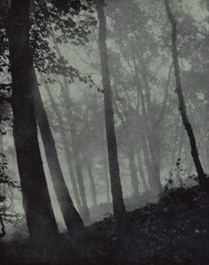 ... allées voûtées de bosquets crépusculaires et ombres brunes ... de pins, ou chêne monumental, Milton