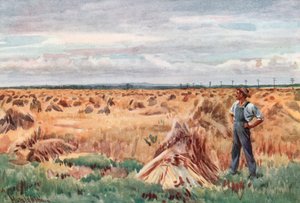 Le long des champs de blé du Manitoba - Harold Copping