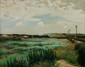 Marais de Marazion