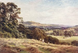 Un champ de foin, Wonersh - Harold Sutton Palmer