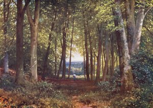 Deer-Leap Wood, Wotton