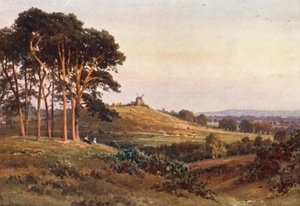 Reigate Heath, soir - Harold Sutton Palmer