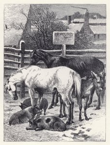 Animaux dans la fourrière - Harrison William Weir