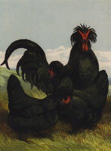 Crève-Cœur