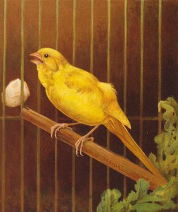 Dickie Bird