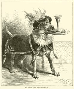 Chien portant une assiette