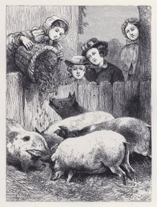 Nourrir les cochons