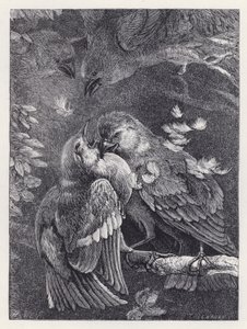 Combat entre un Pinson et un Moineau (gravure) - Harrison William Weir