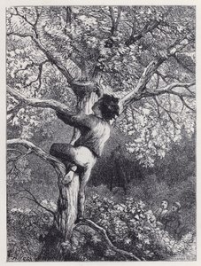 Prendre le nid des linottes (gravure) - Harrison William Weir