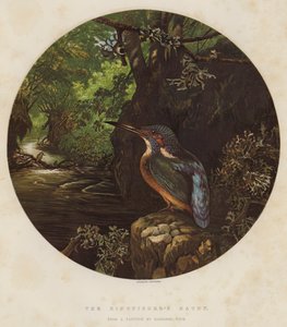 Le Repaire du Martin-pêcheur - Harrison William Weir