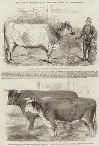 Exposition de la Société Royale d