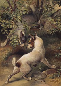 Deux chiens essayant d