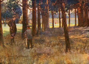 Terrains de Golf : Mildenhall, le résultat d