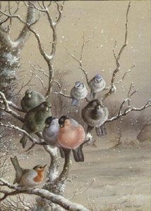 Oiseaux sur une branche enneigée - Harry Bright