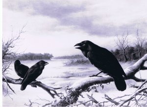 Corbeaux en hiver - Harry Bright