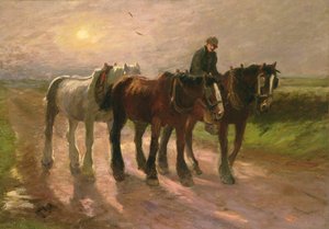 Retour à la maison - Harry Fidler