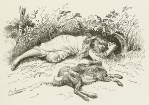 Illustration pour Sylvie et Bruno par Lewis Carroll - Harry Furniss