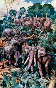 Éléphants détruisant une palmeraie