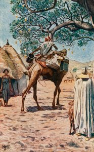 À Bornu - Harry Hamilton Johnston
