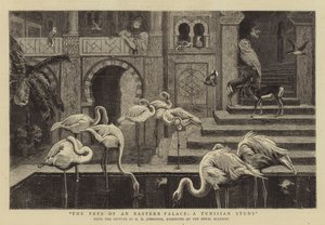 Les animaux de compagnie d