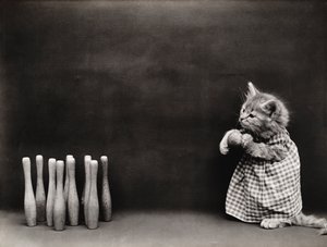 Série des chatons : Bowling, vers 1914 (tirage argentique)