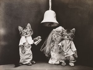 Série des chatons : Mariage, vers 1914 (tirage argentique)