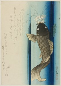 Cascade de carpes - Hasegawa Sadanobu