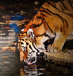 Tigre