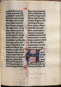 Livre des Évangiles avec Portraits des Évangélistes : Initiale décorée - Hausbuch Master