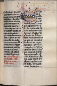 Livre des Évangiles avec Portraits des Évangélistes : Initiale décorée - Hausbuch Master