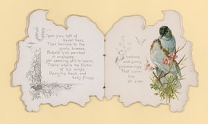 Oiseaux