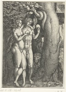 La Chute