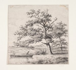 Chênes au bord d