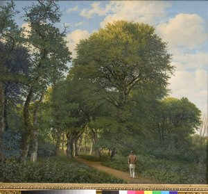 Un paysage forestier à Charlottenlund. Soir