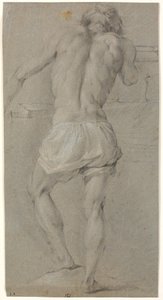 Modèle masculin debout, vu de dos
