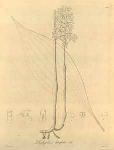 Ce fichier provient de la Bibliothèque de la biodiversité
