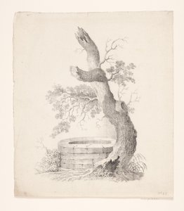 Un vieil arbre près d