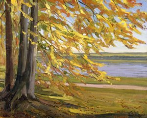 Lac de Starnberg, 1911