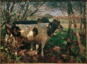 Deux vaches à la clôture