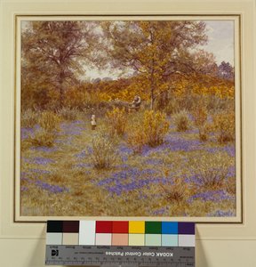 Bois de jacinthes, 1889