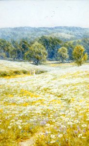 Marguerites, près de Westerham, Kent - Helen Allingham