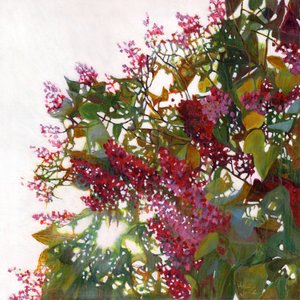 Rayonnant - Helen White