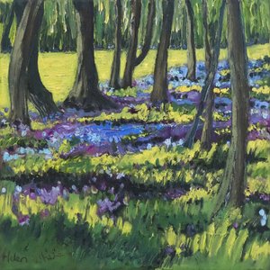 Bois de jacinthes, 2008