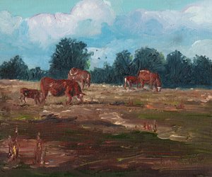 Vaches en pâturage, 2008