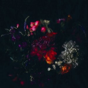 Floral sombre - Helen White