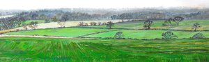 Du Sommet de Farley Hill, 2008 - Helen White
