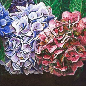 Hortensias, 2010
